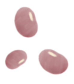 あずきイラスト