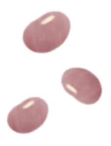 あずきイラスト